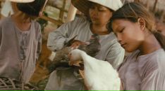 Фотография Сидоровой Юлии