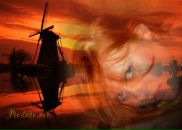 Фотография Федоровой Светланы