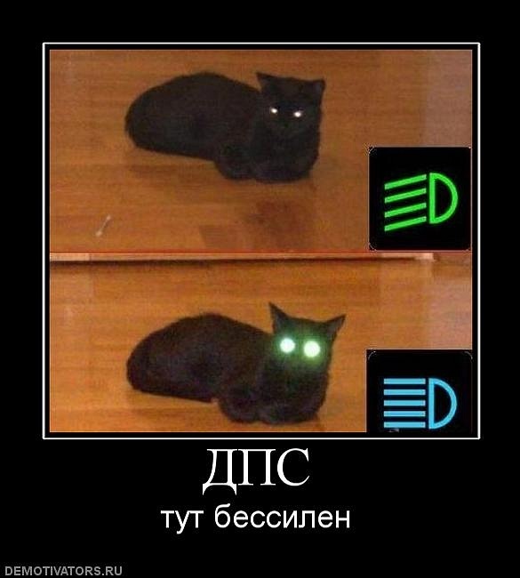 Антон Андреенко фотография #50