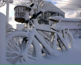 Фотография Казинского Андрея