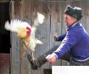 Андрій Крищук фотография #7 (источник - https://vk.com/id137414397)