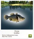 Ігор Ганоцький фотография #21 (источник - https://vk.com/id142551099)