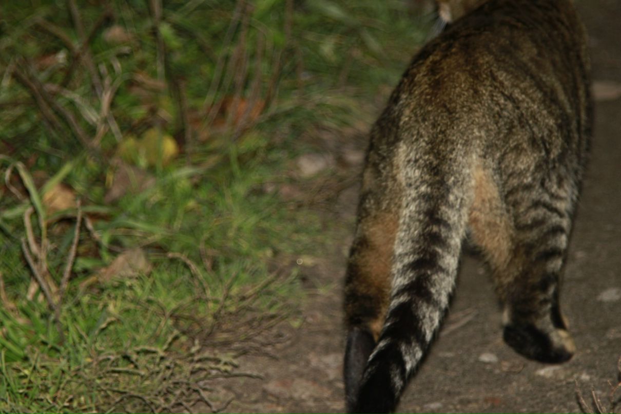 Дмитрий Васильевич фотография #24