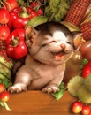 Оксана Лонюк фотография #37 (источник - https://vk.com/id157010818)