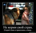 Оля Головашкіна фотография #17 (источник - https://vk.com/id8498135)