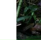 Лєна Ляшкевич фотография #49 (источник - https://vk.com/id57337092)