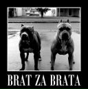 Тарас Іваниш фотография #20 (источник - https://vk.com/id170482661)