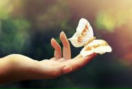 Фотография Кесаевой Залины