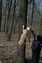Ігор Мацієвський фотография #3 (источник - https://vk.com/id139181768)