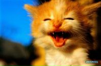 Фотография Волковой Екатерины