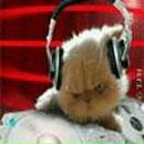 Фотография Абрамова Романа