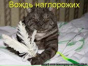 Евгешк@ Горб@чёв@:) фотография #1