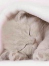 Фотография Зуевой Марины