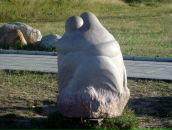 Фотография Клементьевой Ларисы