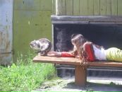 Настя Ефименкова фотография #29 (источник - https://vk.com/id121857092)