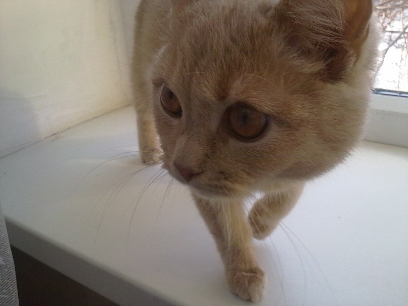 Андрей Чуб фотография #46