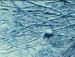 Іван Довмат фотография #33 (источник - https://vk.com/id59233019)