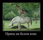 Діма Рубан фотография #49 (источник - https://vk.com/id3274834)