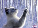 Фотография Дашулька Калёнова