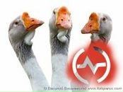 Фотография Легкого Александра