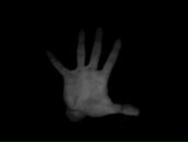 Фотография Yukhnin Vladimir