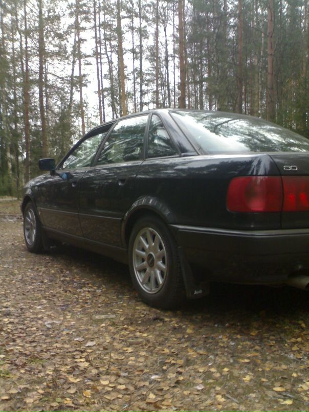 Денис Дмитриев фотография #27