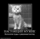 Фотография Долотова Андрея