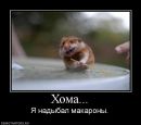 Фотография Островского Ильи