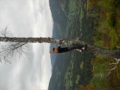 Андрій Гринович фотография #34 (источник - https://vk.com/id63076320)