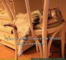 Андрій Ратич фотография #22 (источник - https://vk.com/id16301783)