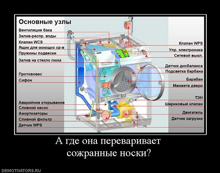Фрэд Орлов фотография #34