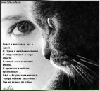 Поліна Босик фотография #19 (источник - https://vk.com/id29862025)