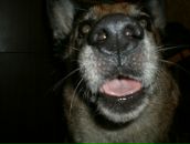 Фотография Сорокина Павла