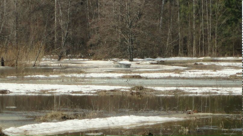 Сергей Рылов фотография #37