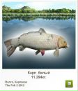Колян Мірецький фотография #12 (источник - https://vk.com/id155031308)