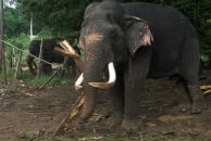 Даша Дашина фотография #18 (источник - https://vk.com/id2891457)