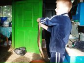 Юлік Боянівський фотография #26 (источник - https://vk.com/id56705213)