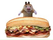 Фотография Трухина Santa