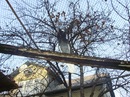 Володя Чорній фотография #14 (источник - https://vk.com/id62168485)