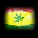 Фотография Савени Макса