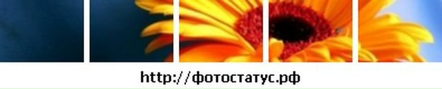 Андрій Білан фотография #35 (источник - https://vk.com/id122079955)