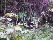 Ігор Матвіїв фотография #25 (источник - https://vk.com/id34620380)