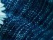 Ілона Лебеденко фотография #12 (источник - https://vk.com/id56674792)