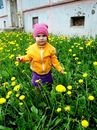 Фотография Гуцаев Константин