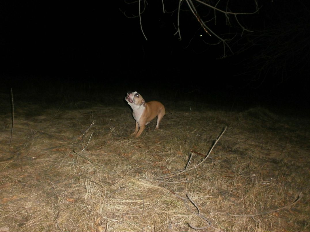 Роман Василенко фотография #48