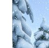 Соломія Турчиняк фотография #20 (источник - https://vk.com/id167653845)