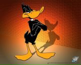 Фотография Сорокина Екатерина