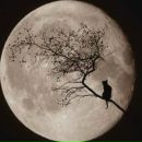 Фотография Гурецкой Дарьи