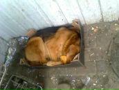 Назар Кахній фотография #16 (источник - https://vk.com/id20231760)