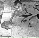 Фотография Андриевска Дмитрия